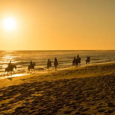 Acogedora Casa El Invierno Con Estufa De Pellet, Cerca De La Playa *